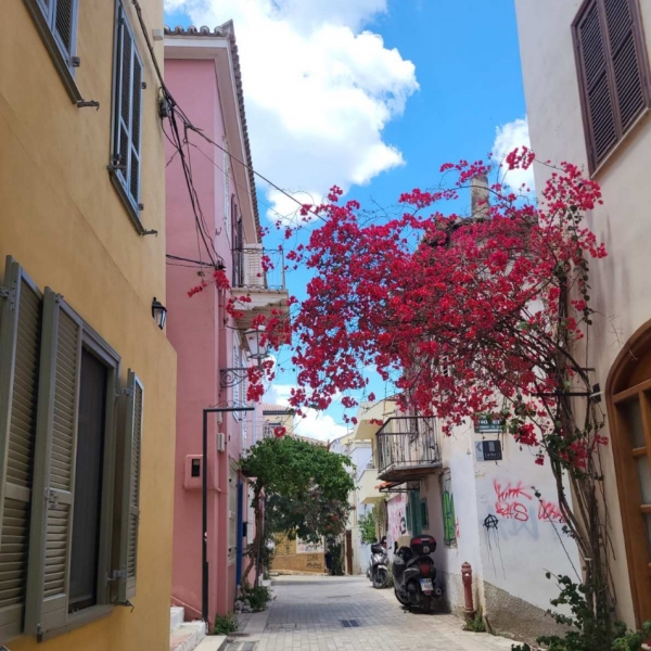 Ανθισμένο Ναύπλιο