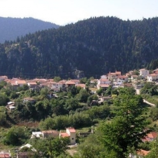 Άποψη Παύλιανης